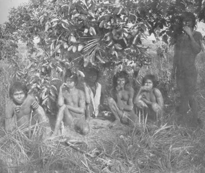 Indiens Nambikwara de l