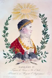Napoléon Ier, 19e siècle