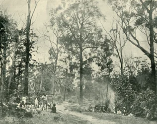 Sports indigènes, lac Tyers