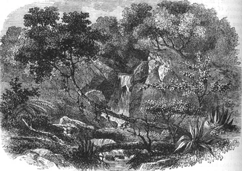 Paysage de Nouvelle-Zélande, vers 1880