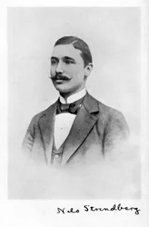 Nils Strindberg, 1872-1897, photographe suédois