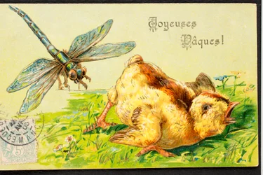 Vieille carte postale/Joyeuses Pâques/Poussin/Libellule