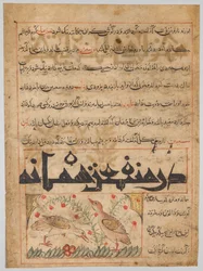 Des bienfaits des cailles verso de Manafi al-Hayawan..., vers 1300