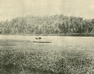 Sur le lac Enoggera, 1901