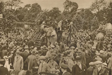 Un des signes de notre civilisation : Jardins zoologiques bien garnis pour ravir les curieux, c193