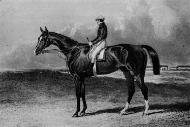 Orlando, vers 1841-1860, 1911