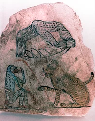 Fragment d