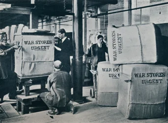 Emballage des balles de kaki pour expédition au gouvernement, vers 1914
