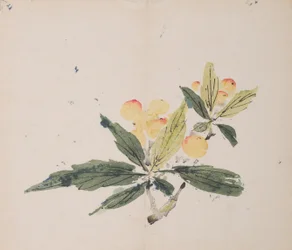 Page de Shi Zhu Zhai