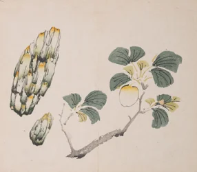 Page de Shi Zhu Zhai
