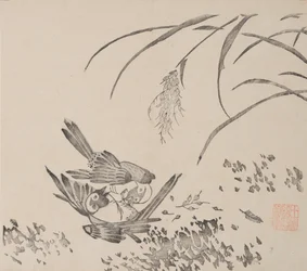 Page du Shi Zhu Zhai