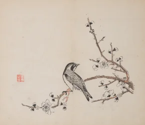 Page de Shi Zhu Zhai