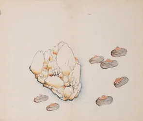 Page de Shi Zhu Zhai