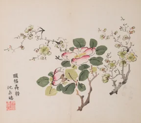 Page de Shi Zhu Zhai