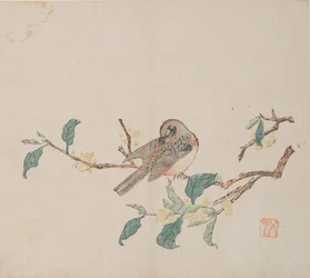 Page de Shi Zhu Zhai