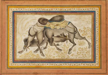 Page d
