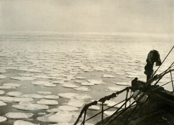 Glace en crêpe dans la mer de Ross, vers 1908, 1909