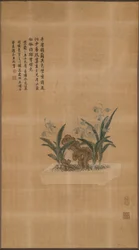 Tissu d