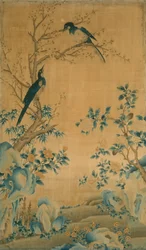 Tissu d