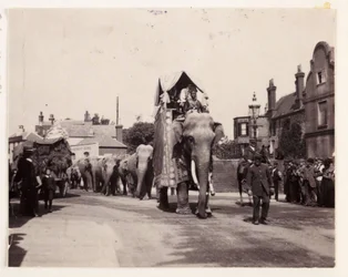 Parade d