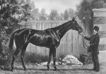 Paradoxe, 1882-1890, 1911