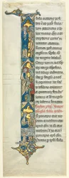 Feuille partielle d