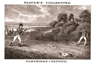 Chasse à la perdrix, 1924