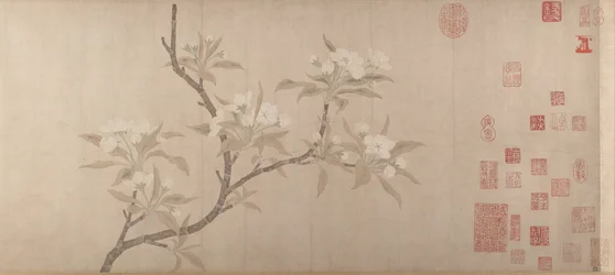 Fleurs de poirier
