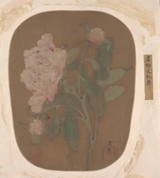 Fleur de pivoine et feuilles