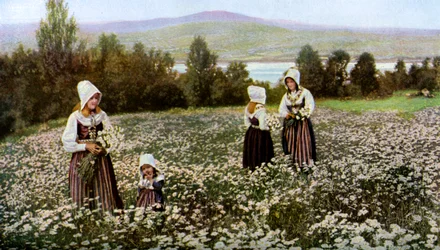 Cueillir des fleurs dans un pré près de Leksand, Suède, vers 1923