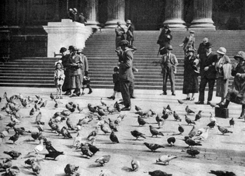 Pigeons à Trafalgar Square, Londres, 1926-1927
