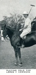 Jouer au polo pour Lords v Commons, vers 1930