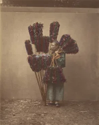 Plumassier