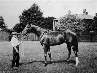 Étoile polaire, 1911