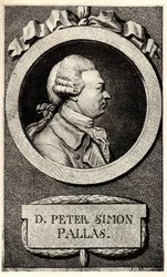 Portrait du zoologiste et botaniste Peter Simon Pallas 1741-1811, début du XIXe siècle