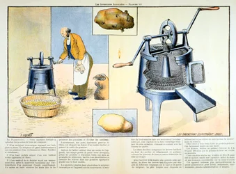 Éplucheur de pommes de terre, 1899