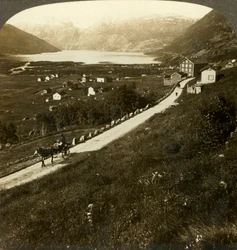 Joli village entouré de montagnes et lac de Røldal, dans l
