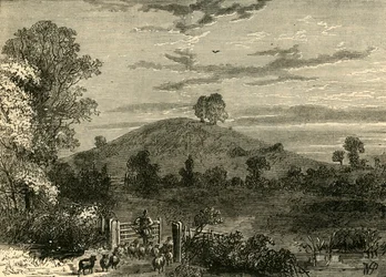 Primrose Hill en 1780