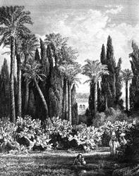 Jardin princier au Caire, Égypte, 1880