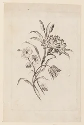 Gravure