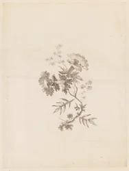 Impression