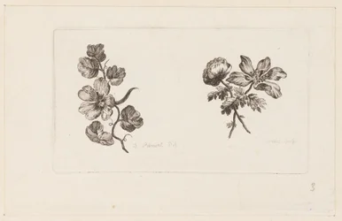 Impression