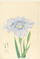 Gravure, La danse du tigre (Tora-Odori), No. 48