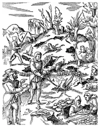 Prospection de métaux, 1556