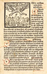 Purgatoire, vers 1500