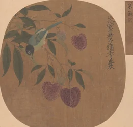 Litchis violets et oiseau