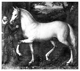 Le cheval de la reine Élisabeth I, 1896