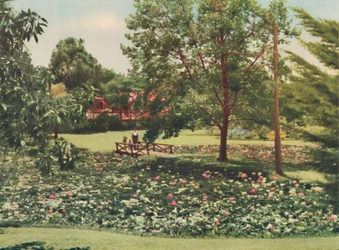 Jardins de la Reine, vers 1947