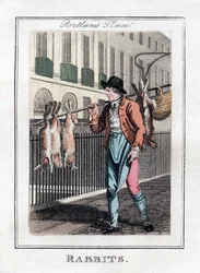 Lapins, Portland Place, Londres, 1805