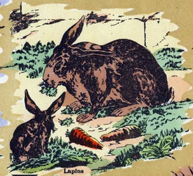 Lapins et carottes. Alphabet illustré. Imageries réunies à Jarville-Nancy, début 20ème siècle. Dim : 40 x 29 cm. Lithographie sur fond bistre.